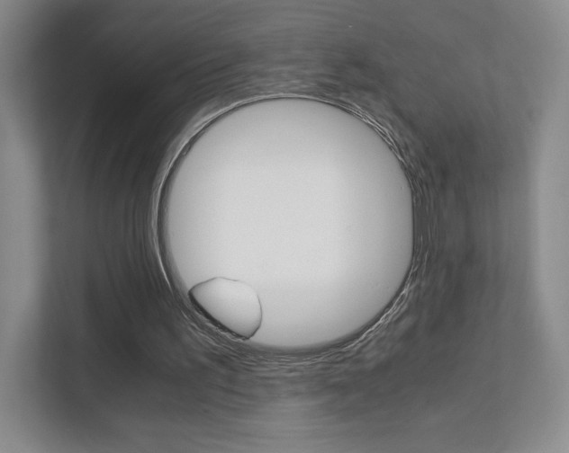 X0000111810195200907231023