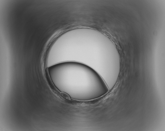 X0000111810197200907231023