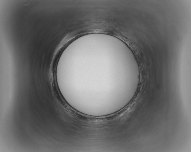 X0000111810198200907231023