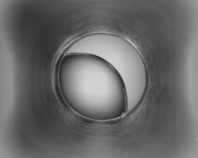 X0000111810199200907231023