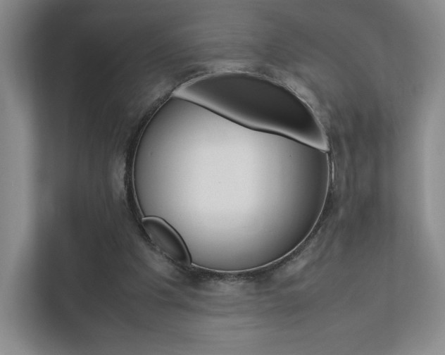 X0000111810201200907231023