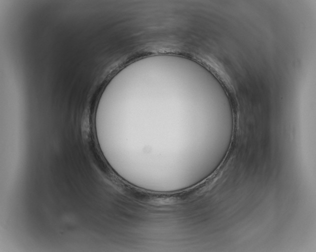 X0000111810202200907231023