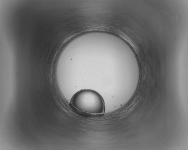 X0000111810203200907231023