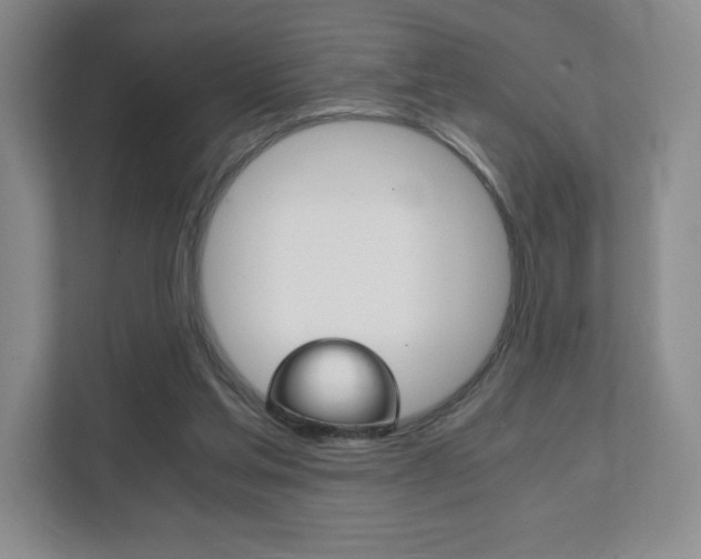 X0000111810205200907231023
