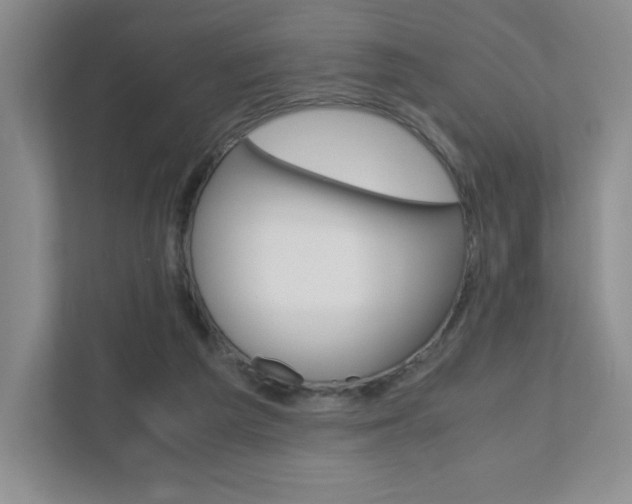X0000111810209200907231023