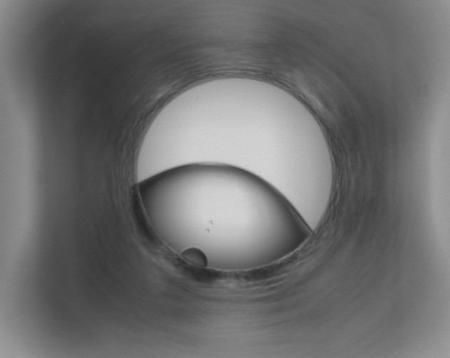 X0000111810211200907231023
