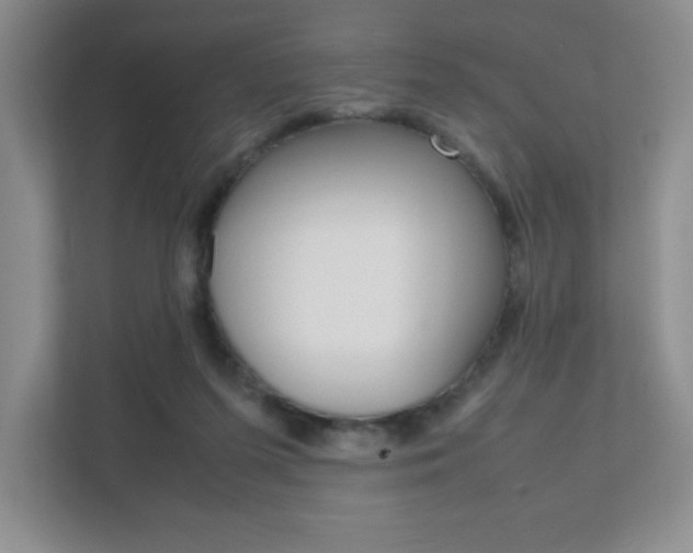 X0000111810215200907231022