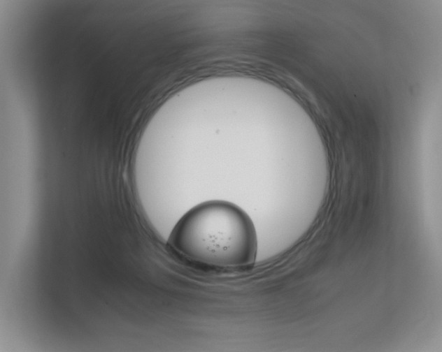 X0000111810217200907231022