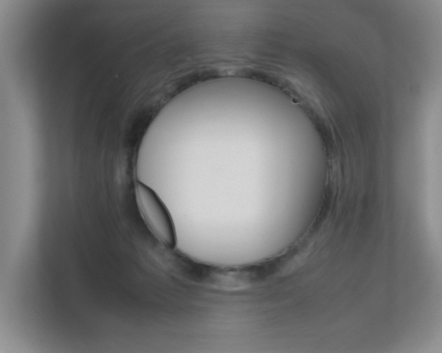 X0000111810221200907231022