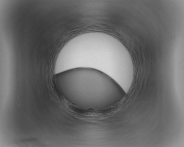 X0000111810223200907231022