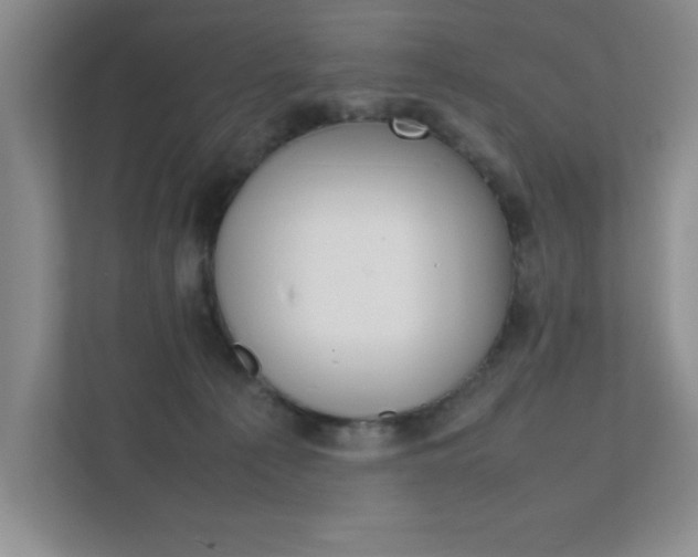 X0000111810225200907231022