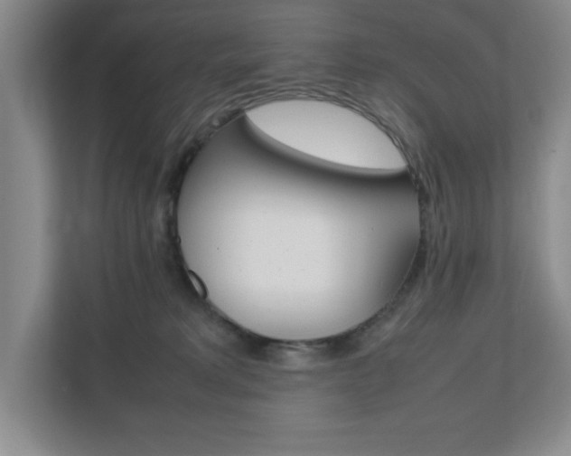 X0000111810229200907231022