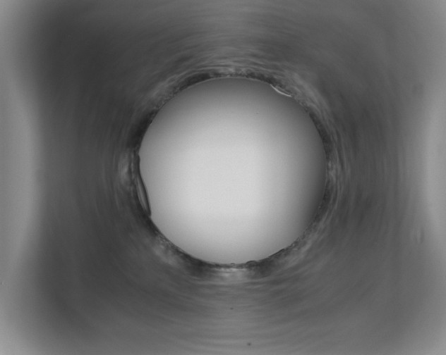 X0000111810233200907231022