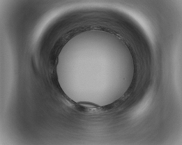X0000111810239200907231022