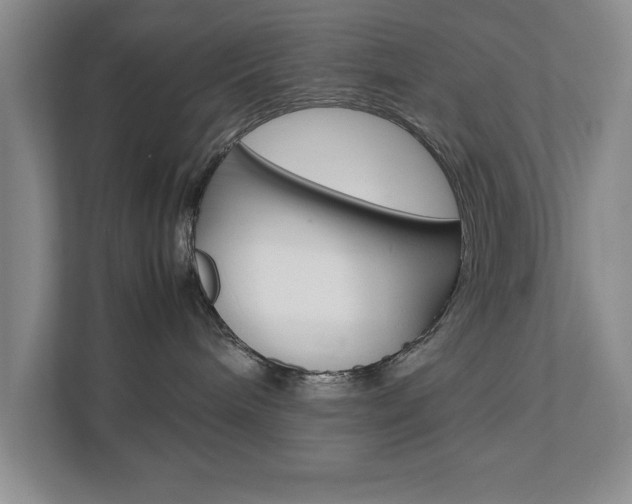 X0000111810240200907231022