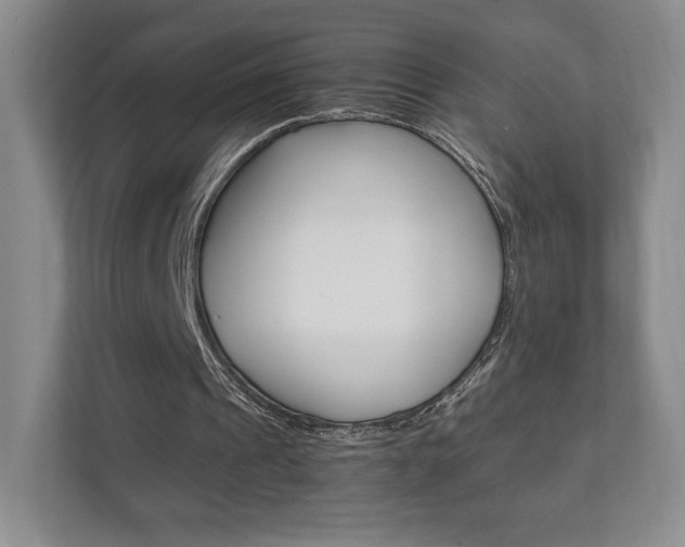X0000111810241200907231021