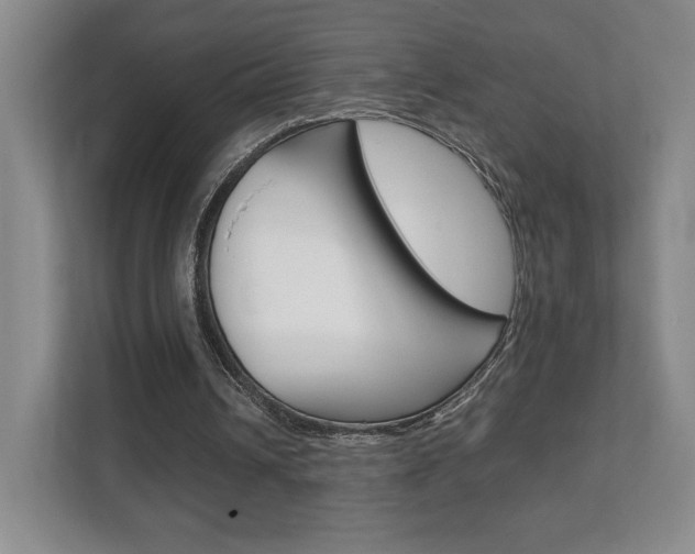X0000111810242200907231021