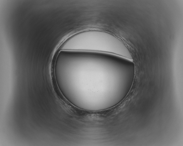 X0000111810244200907231021