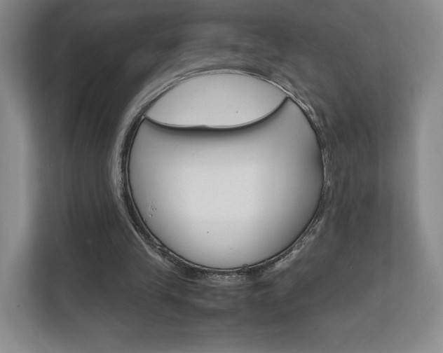 X0000111810245200907231021
