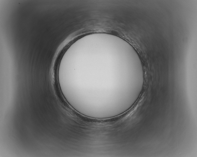 X0000111810246200907231021
