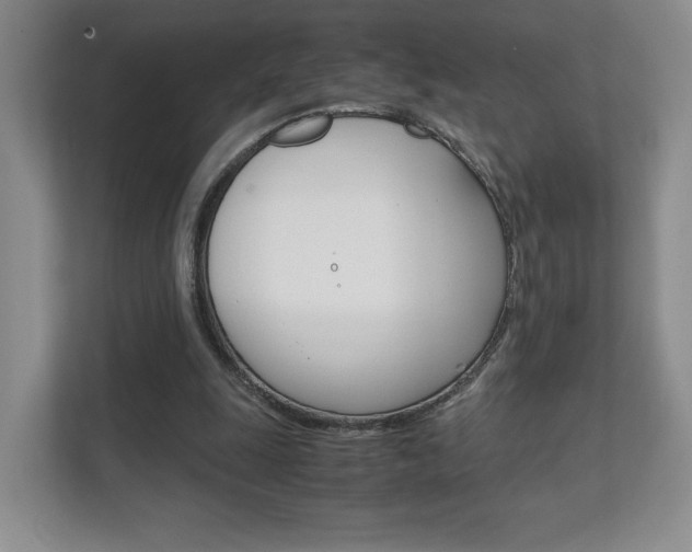 X0000111810247200907231021