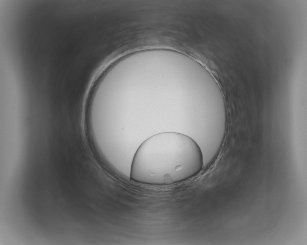 X0000111810248200907231021