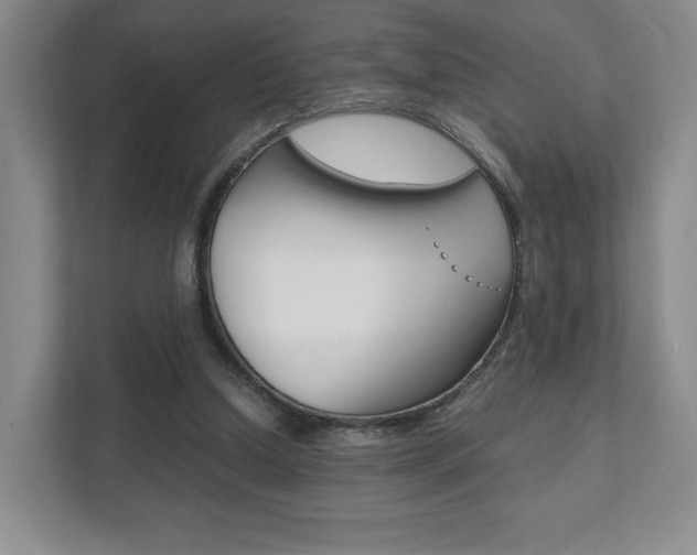 X0000111810250200907231021