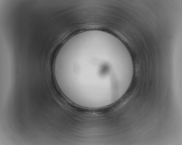X0000111810254200907231021
