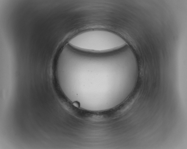 X0000111810256200907231022