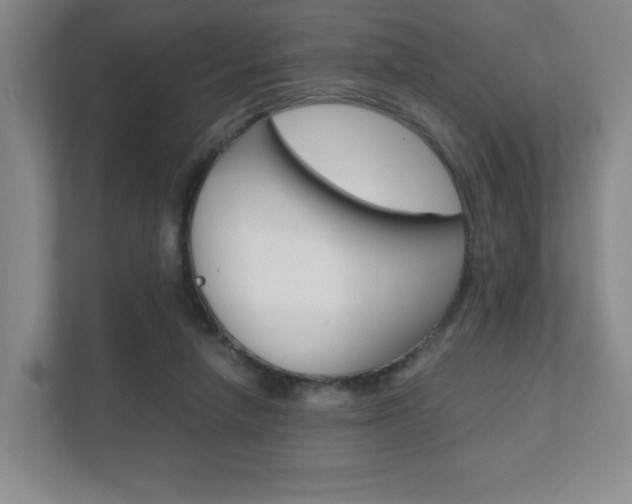 X0000111810258200907231022