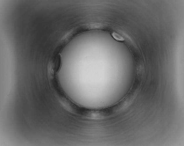 X0000111810264200907231022