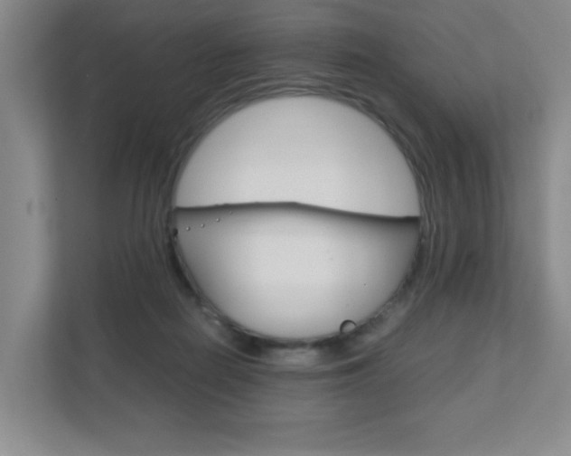 X0000111810266200907231022