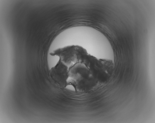 X0000111810267200907231022