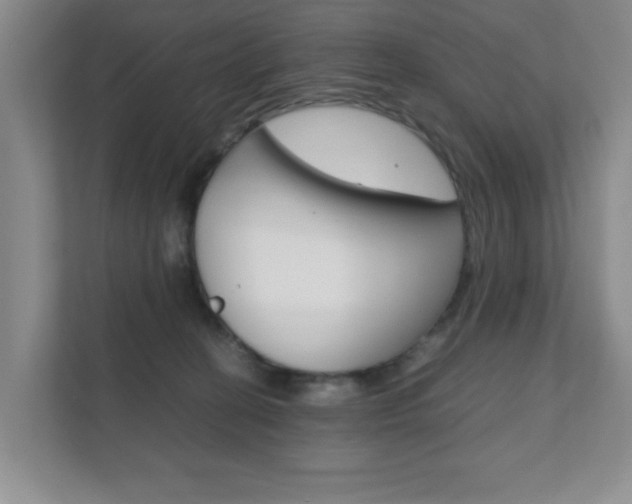 X0000111810274200907231022