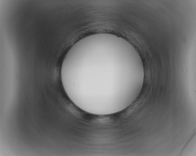 X0000111810278200907231022
