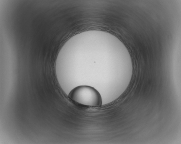 X0000111810280200907231022