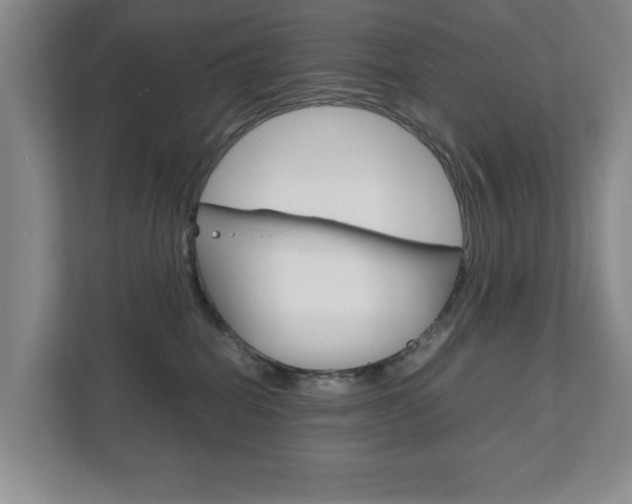 X0000111810282200907231022