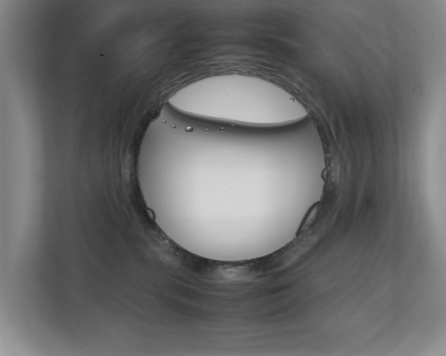 X0000111810283200907231022