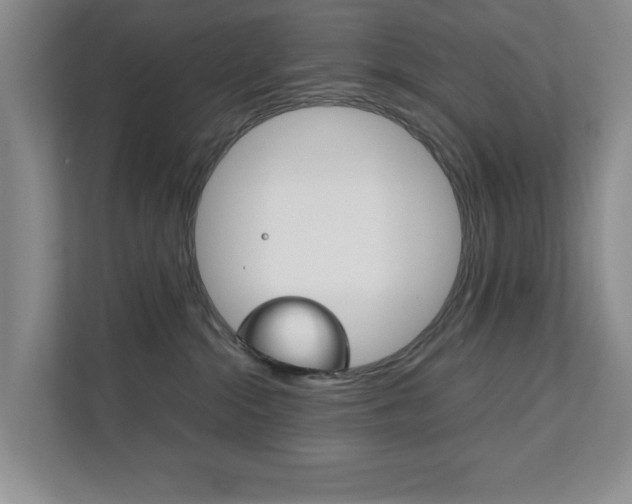 X0000111810284200907231022