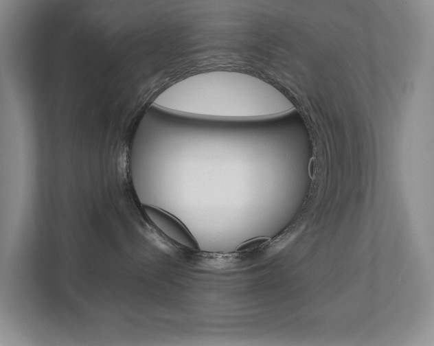 X0000111810288200907231022