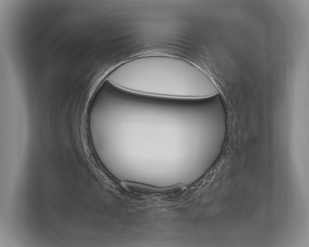X0000111810289200907231021