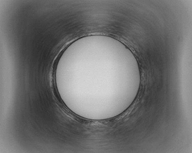 X0000111810290200907231021