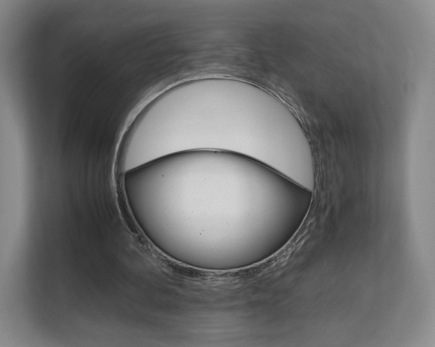 X0000111810292200907231021