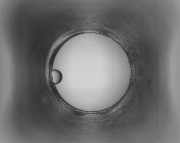 X0000111810294200907231021
