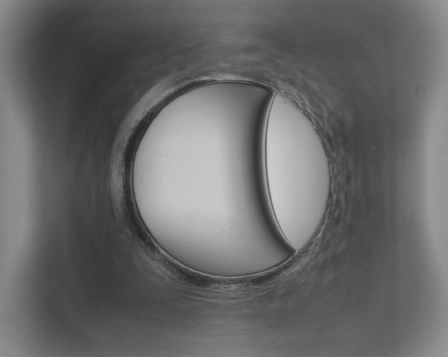 X0000111810295200907231021