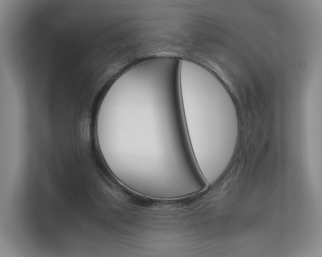X0000111810299200907231021