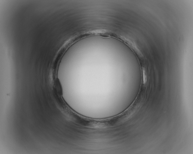 X0000111810300200907231021