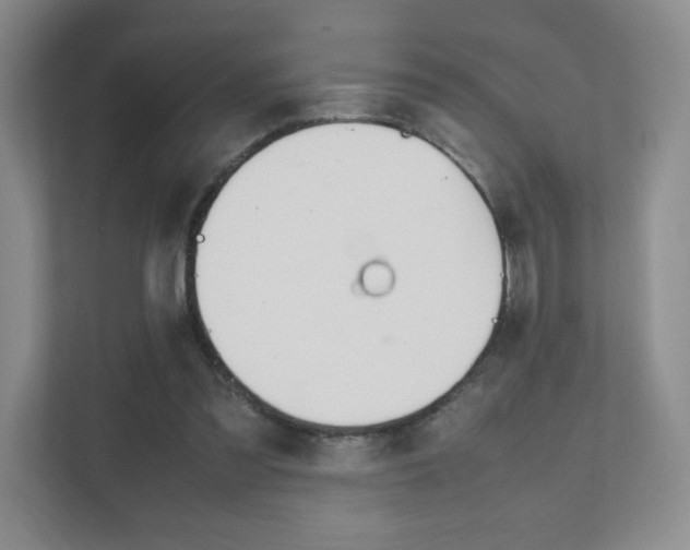 X0000111810301200907231021