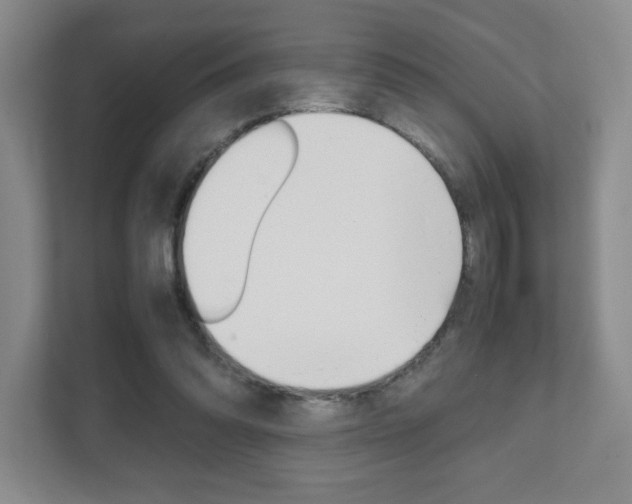 X0000111810302200907231021