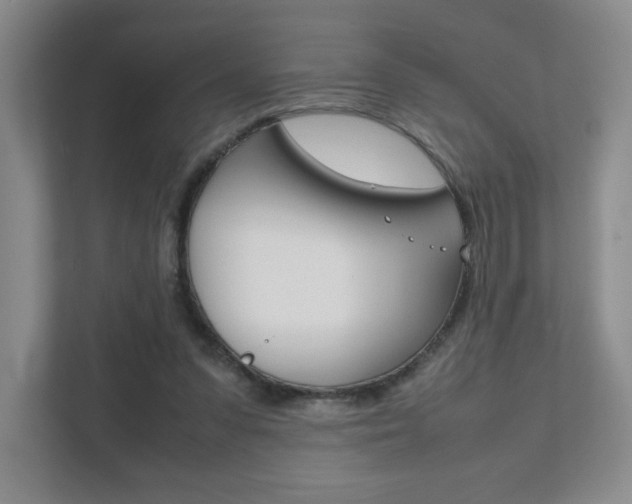 X0000111810303200907231021